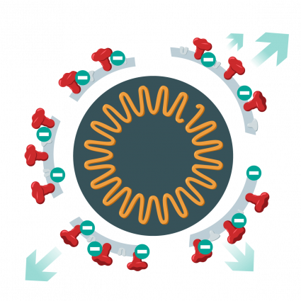 ible Airvida Remove Coronavirus