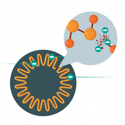 ible Airvida Remove Coronavirus